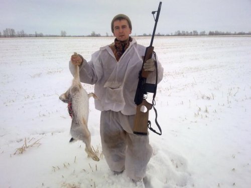 Заяц.