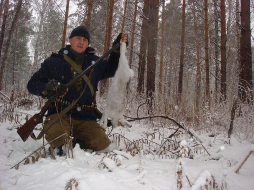 Заяц из лесного малинника.