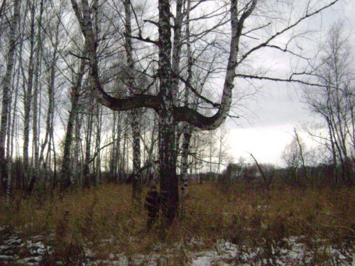 вот такой трезубец