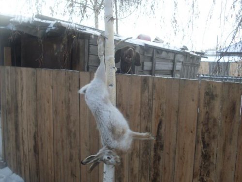 приехали с охоты
