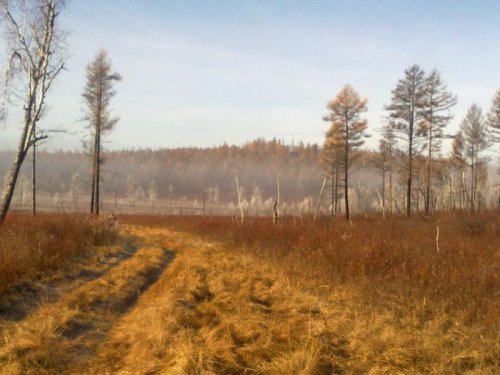 осень