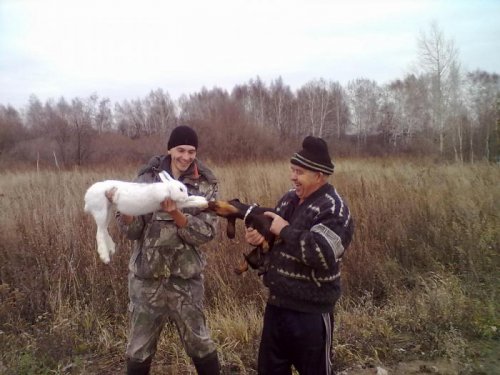 Не дали погонять так хоть обгрызу.