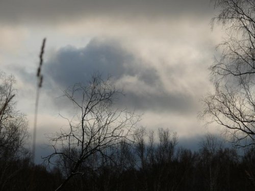 зимы ждала,ждала природа...