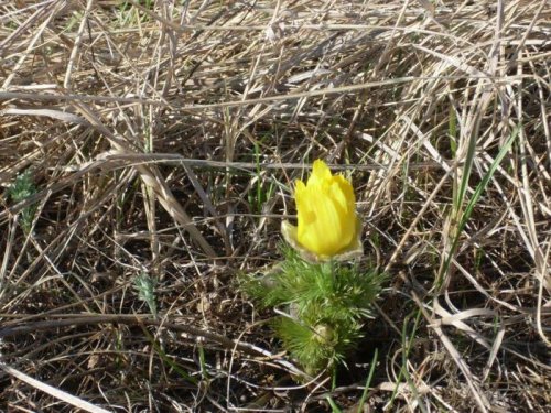 Красота!!!!!!!!!