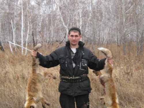 рыжие