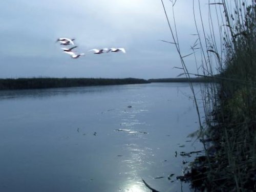 Октябрь, первый ледок