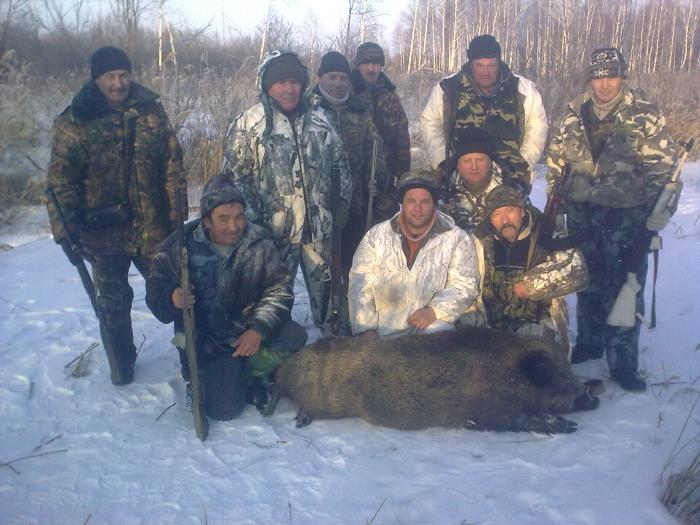 в загоне