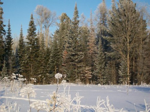 Красота да и только.
