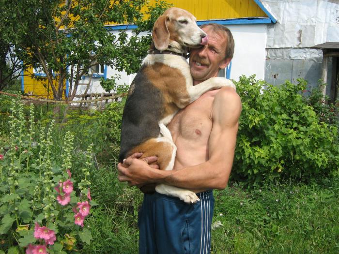 вот так