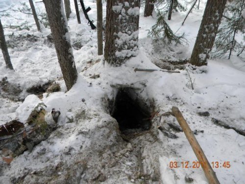 Берлога