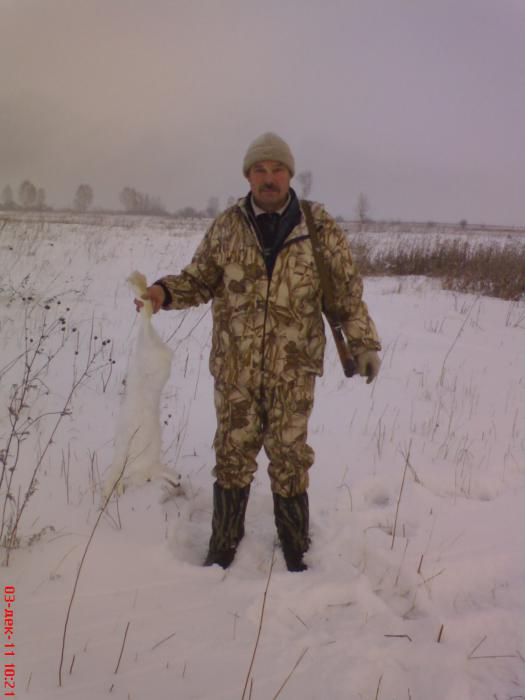 трудовой