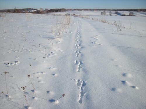 Аж на душе приятно....
