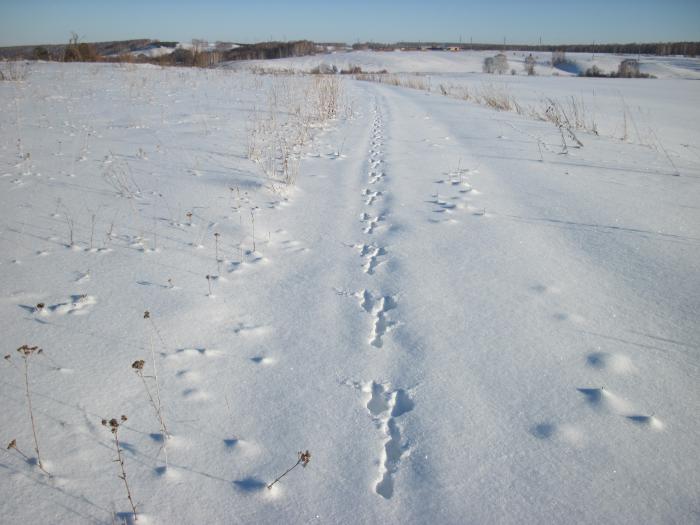 Аж на душе приятно....