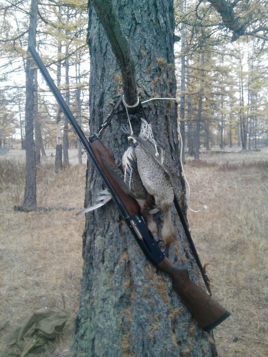 охота в бурятии