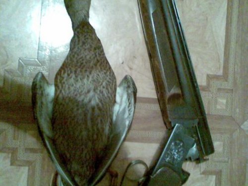 1 за вечер