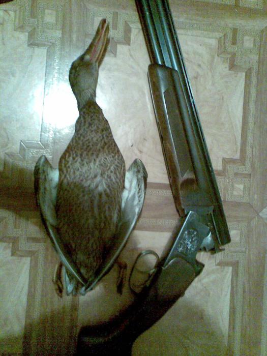 1 за вечер