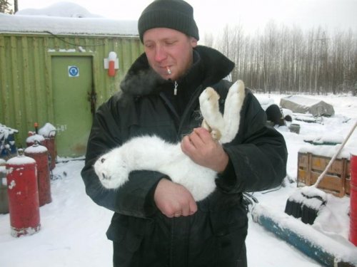 хороший с этимже зайцем.