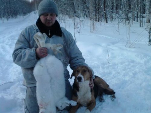 У Шанели и розы сегодня праздник