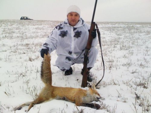 лисовин