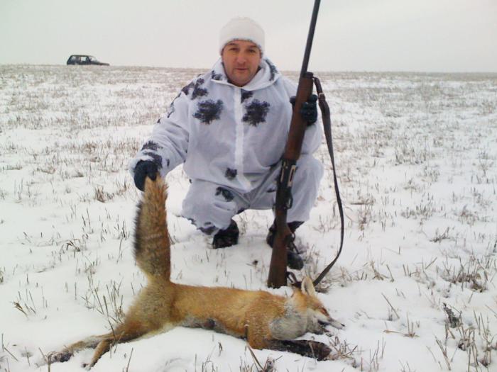 лисовин