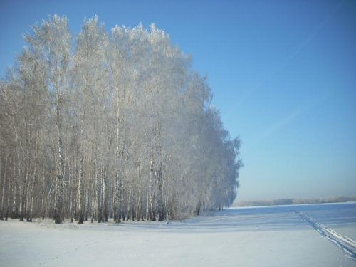 Природа лесок украсила!