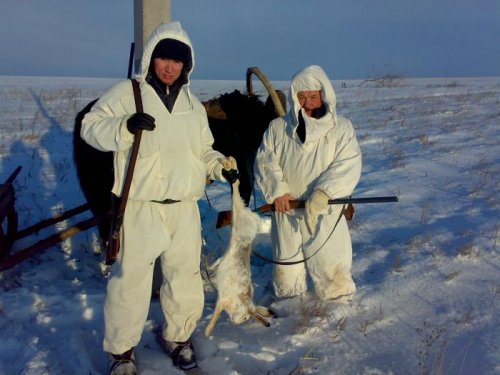 зайчик