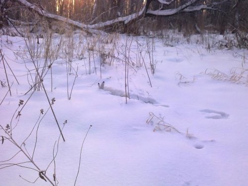 Кучно пришло!