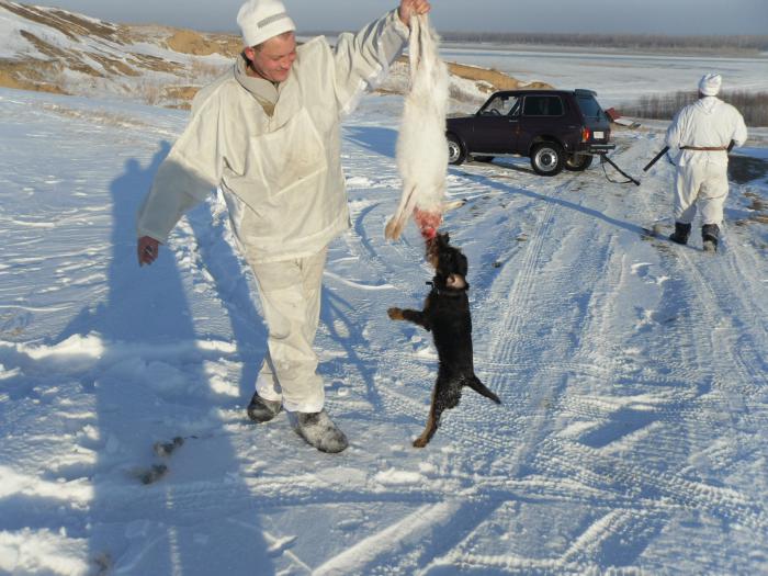 На охоте.
