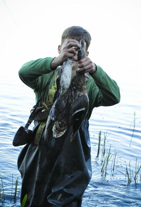 Осень 2011