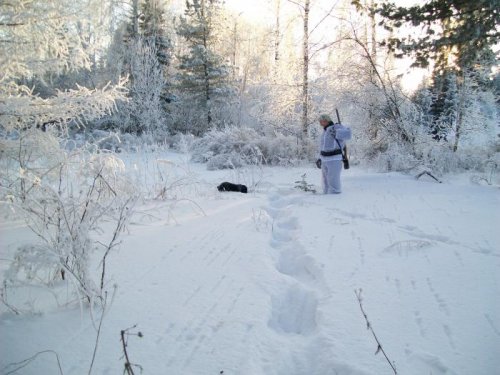 Добор зверька.