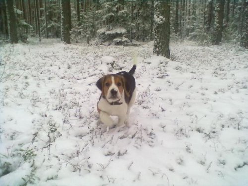 в движухе :)