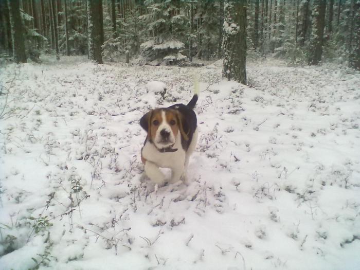 в движухе :)