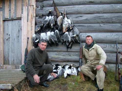 Север, осень, гуси.