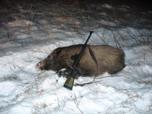 секачик