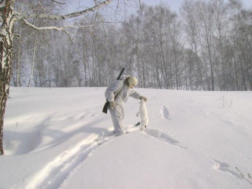 Не сбежал