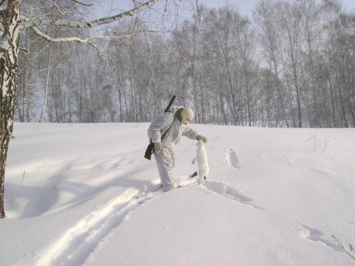 Не сбежал