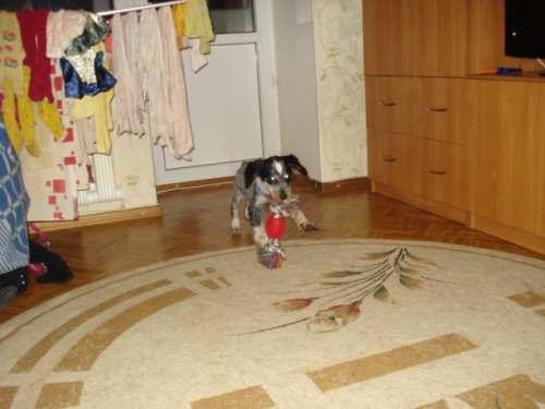 Игры играми , а на уроки ходим. 