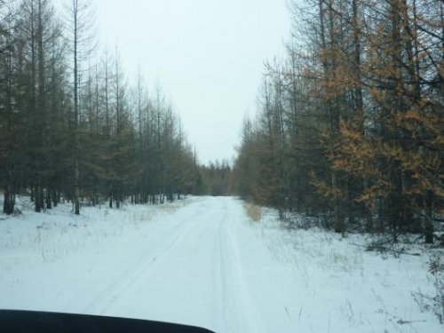 дорога на север, к Лёхе