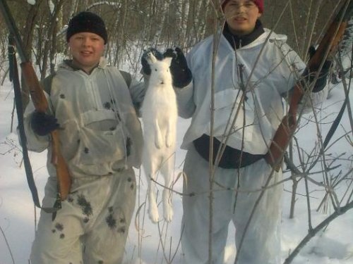 добыли белячка