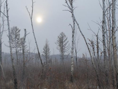 забайкальские увалы