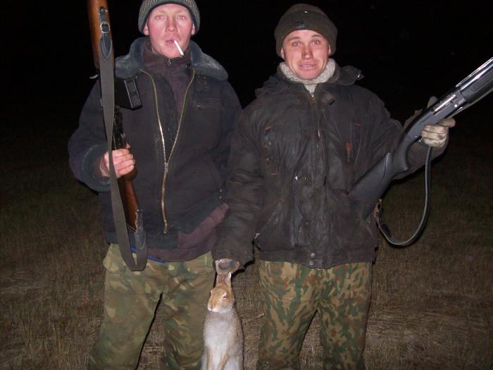 БРАКИ.