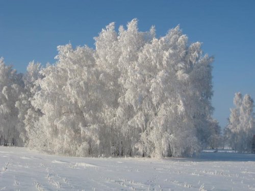 Подморозило... )
