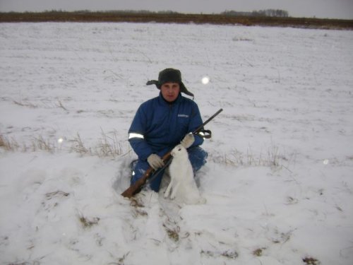 ушастый