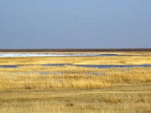 Весна. Завтра открытие.