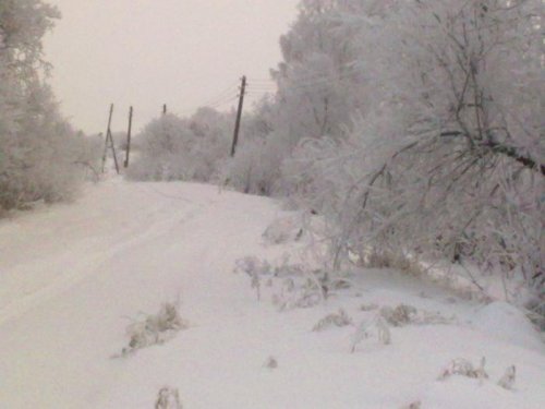 Морозное утро