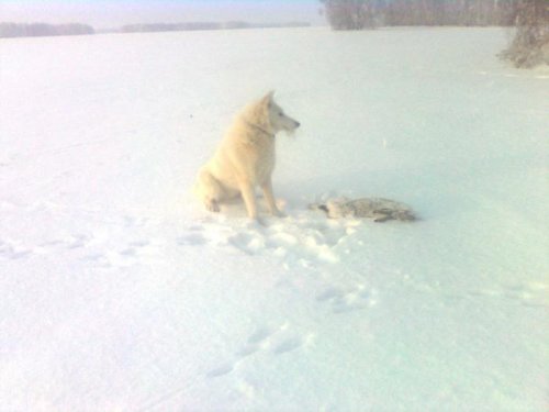 Не много потрепал!!!))