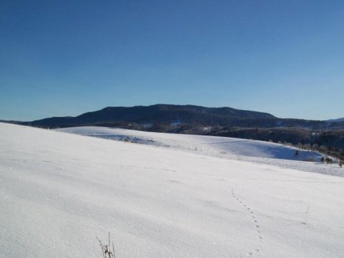 Чарышский район