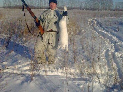 беляк