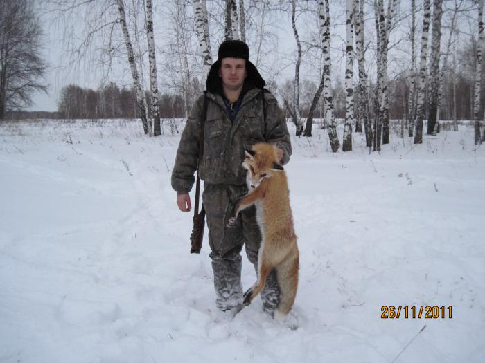 лис