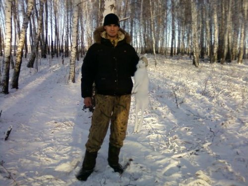Зима 2010. Хитрый был заяц.